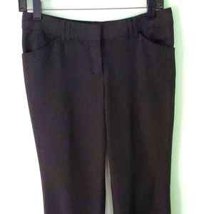 Express Editor Dress Pants Bootcut